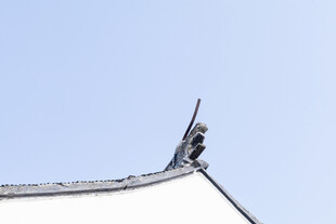 苏州园林建筑局部