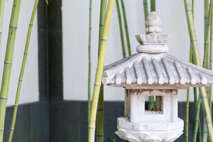 苏州园林建筑局部