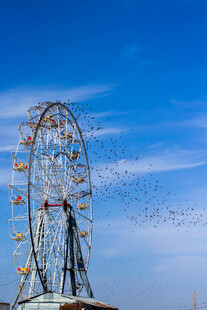摩天轮