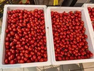 新鲜樱桃装于白色容器中