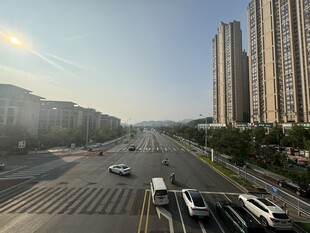 城市道路上的车辆与高楼