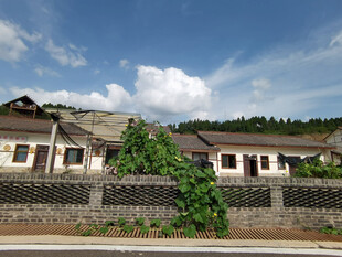 乡村民居宁静田园风光
