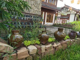 庭院陶罐绿植景观一角