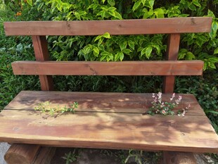 户外木质长椅绿植相伴