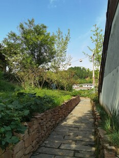 乡村小径绿植环绕的宁静处