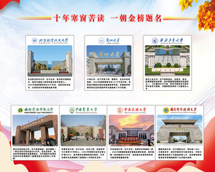 985学校简介