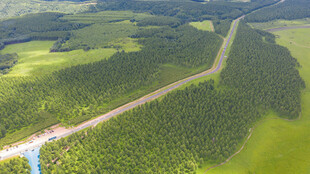 塞罕坝国家森林公园