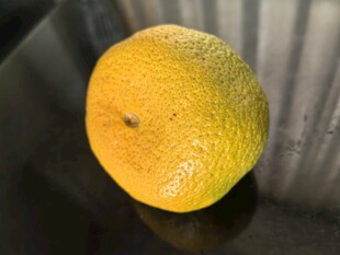 黄色圆润橙子特写