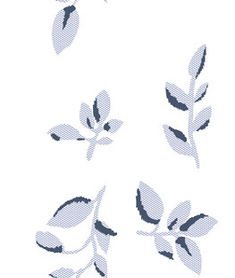 叶片 植物 图案