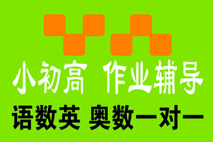 小初高语数英奥作业辅导