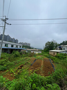 乡村田野景象