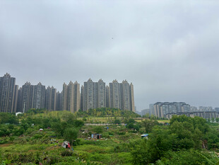 城市边缘的绿植与高楼景观