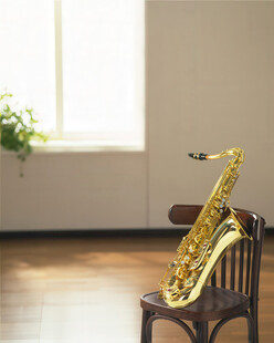 金色萨克斯 音乐器材 