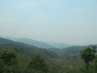景迈山