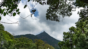 空中飞人穿梭山林间