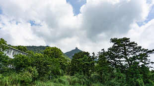 山林云海间的绿意景致