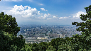 俯瞰城市与绿树美景