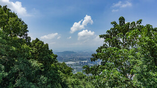 山林间远眺开阔景致