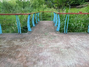 蓝色护栏的林间步道
