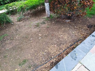 户外裸露泥土的花园一角