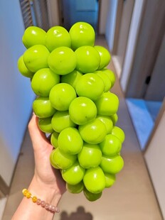 葡萄
