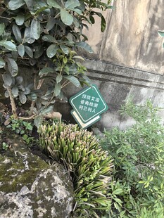 绿植旁的绿色标识牌