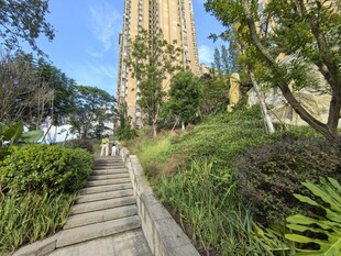 漫步林间石阶 高楼隐现
