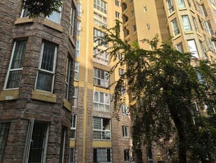 城市中错落的居民楼景观