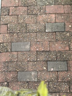 红砖铺就的地面纹理