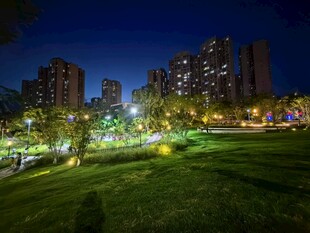 城市夜景下的绿地与高楼