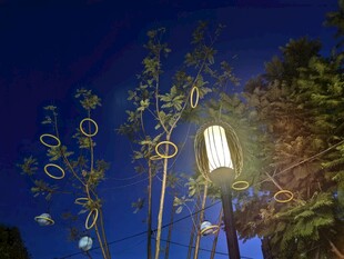 夜空下的梦幻风铃装置