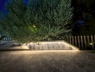 夜晚庭院绿植灯光景观