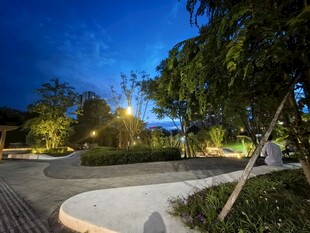 夜晚的静谧花园景观