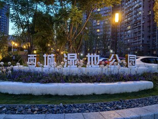 夜晚的苏河湾湿地公园
