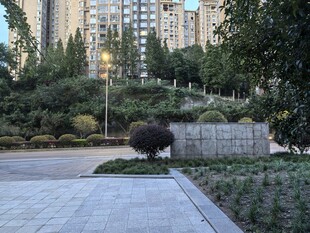 城市中的静谧绿化景观