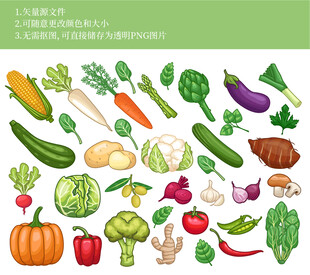 多彩蔬菜插画集合