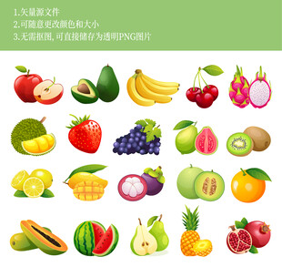多彩新鲜水果矢量插画图