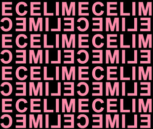 赛琳品牌粉色重复字母图案