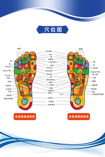 足部图