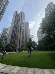 城市中的绿地与高楼景观