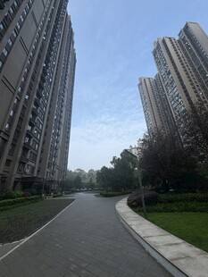 城市住宅区道路景观