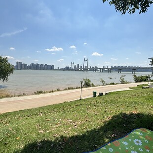 河畔草地风光