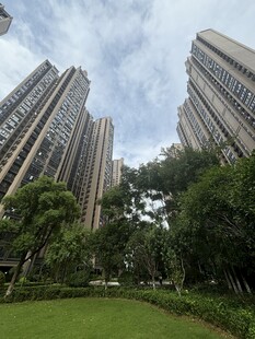 城市住宅区绿意盎然景观