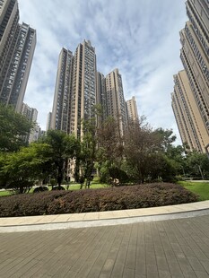 城市高楼旁的绿植景观