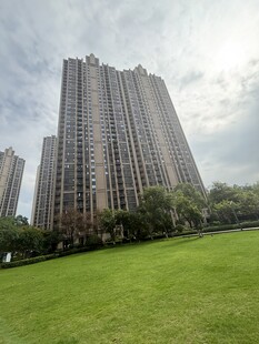 城市草地旁的高楼景观