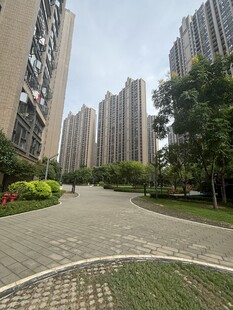城市住宅区的绿化道路