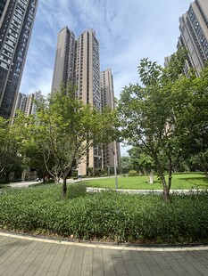 城市中的绿植与高楼景观