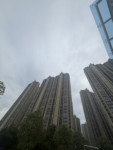 高楼林立的城市景象