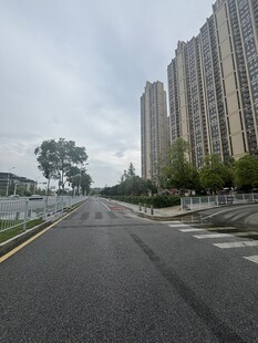 城市宽阔道路旁的高楼