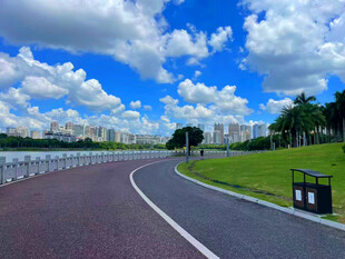 城市中的美丽道路景观